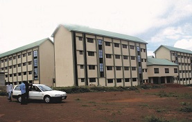 Our Services
